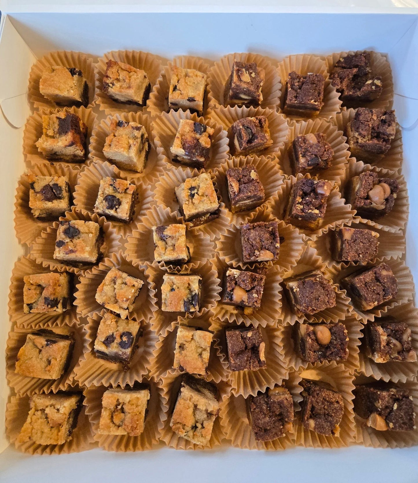 Mini Blonkie/Brookie 40 Piece Box